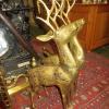 Stags